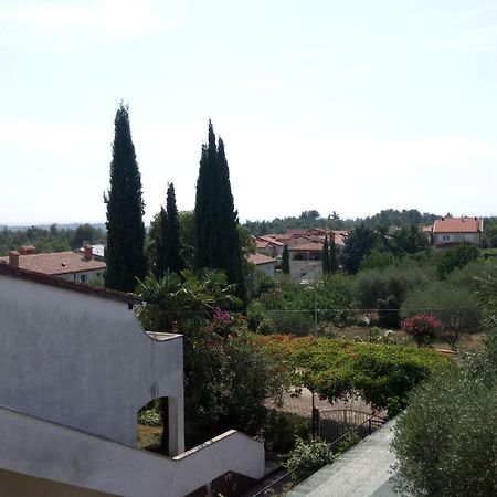 Villa Carolina Tar-Vabriga Екстериор снимка