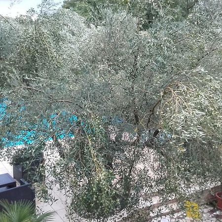 Villa Carolina Tar-Vabriga Екстериор снимка