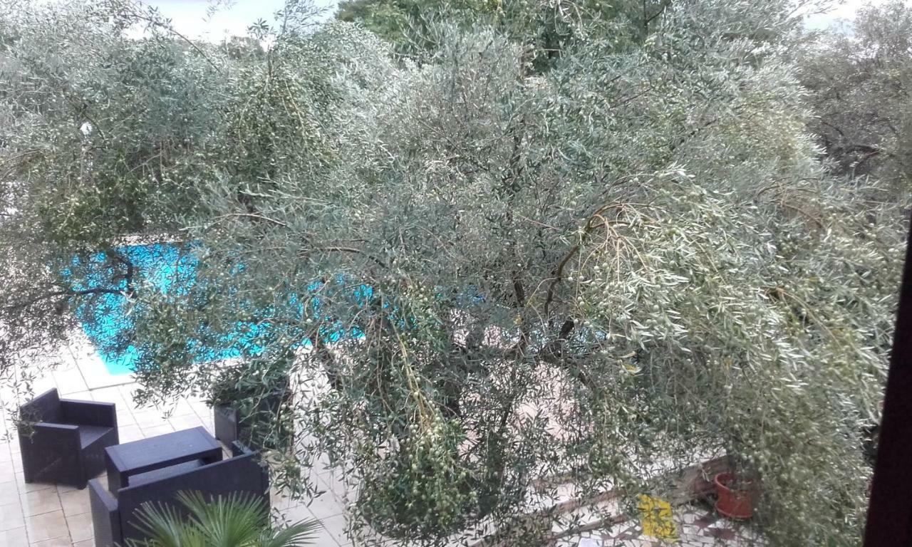 Villa Carolina Tar-Vabriga Екстериор снимка